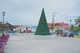 Christmas Tree Ambergris Caye Belize Holidays – Best Places In The World To Retire – International Living
